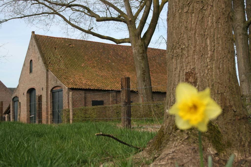 Erfgoedlogies D'Ouffenhoff Baarlo (Limburg) Quarto foto